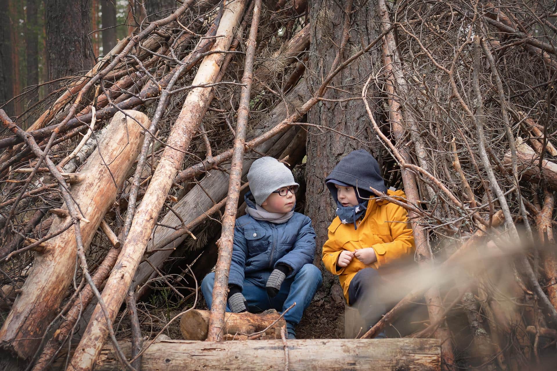 Week van het Bos: duik met je gezin het bos in!